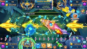 aaq999